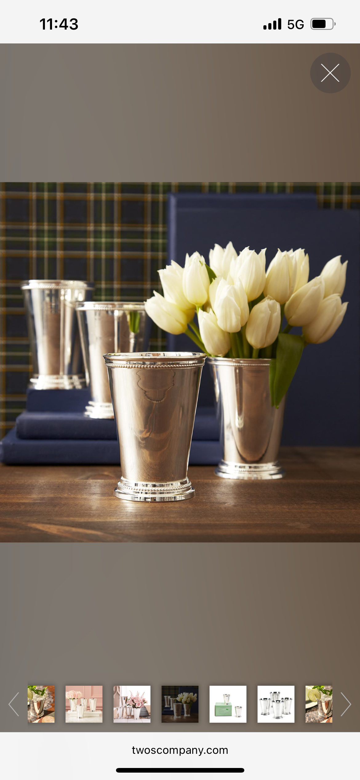 *PREORDER* Set of 4 Mint Julep Vase (Food Safe) - Lacquered Silver-Plated Brass